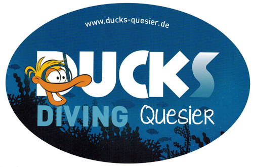 Ducks-Diving-Quesir.png